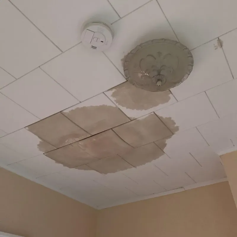Ceiling Water Damage Repair in Wellington, OH