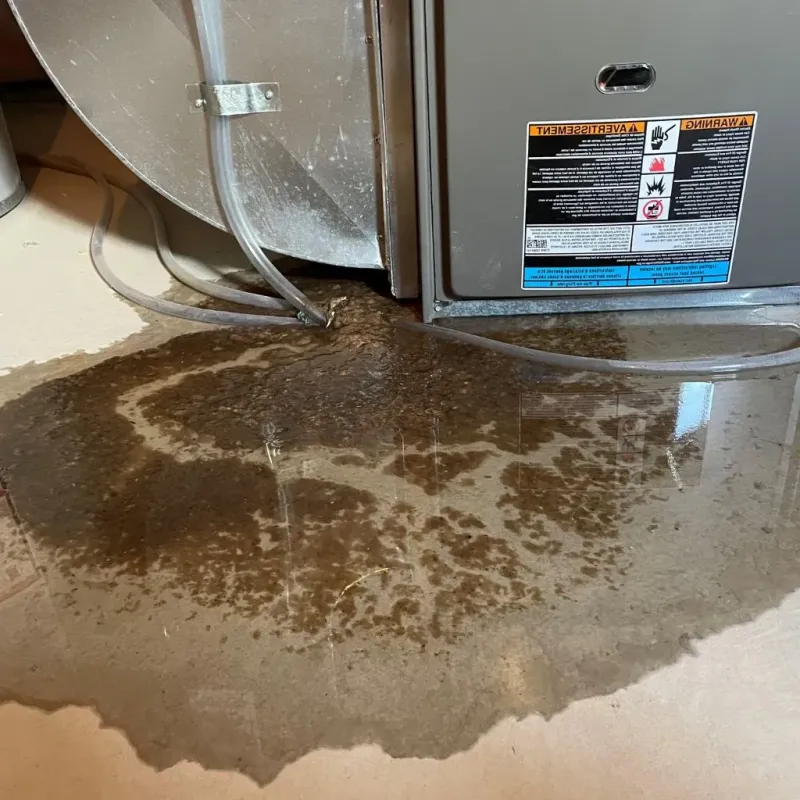 Pipe Burst and Leak Restoration in Wellington, OH