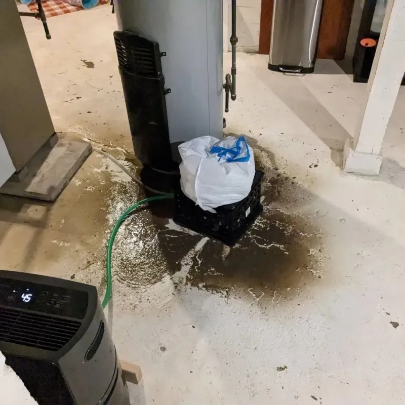 Sewage Backup Cleanup Service in Wellington, OH